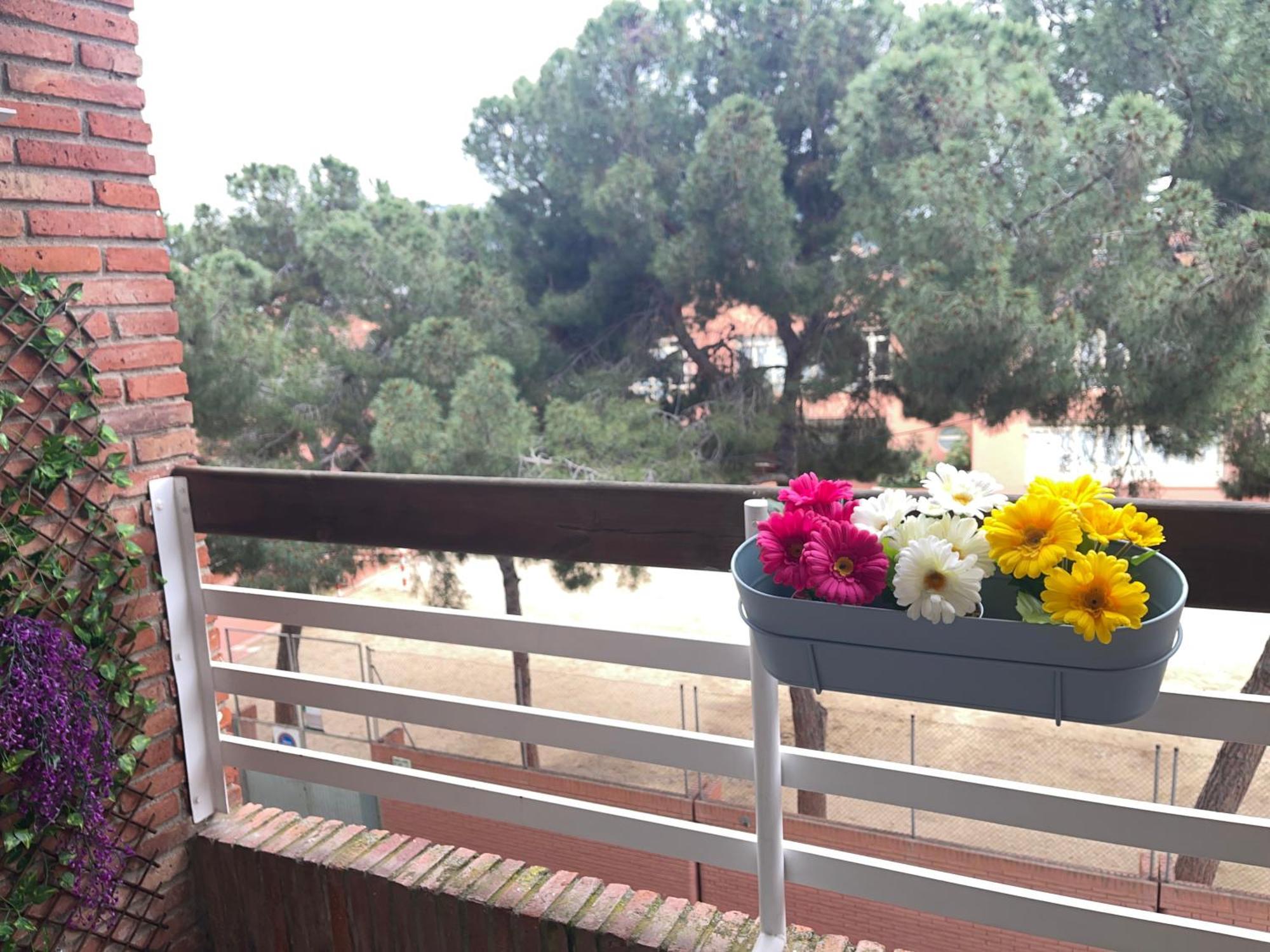Apartment Lluis In Pineda De Mar Eksteriør bilde